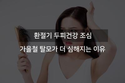 가을철 탈모가 더 심해지는 이유 관련이미지